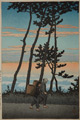 Evening at Nakoso--sold