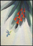 Hummingbird A3 (watercolor painting)