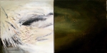 Fusion - diptych