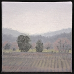 Oil Painting: Morning Light, Winter Vineyard