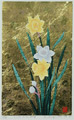 Narcissus No. 4 - sold