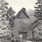 House in a Grove